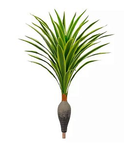 Planta Árvore Dracena Garrafa Real Toque Verde Creme 1,2m