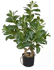 Planta Árvore Artificial Clúsia Verde Real Toque 78cm