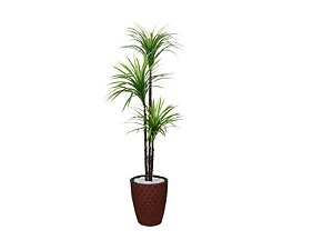 Planta Artificial Árvore Yucca 1,50m 3 Folhas Kit + Vaso E. Marrom 32cm