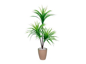 Planta Artificial Árvore Yucca Verde 1,10m Kit + Vaso E. Bege 32cm