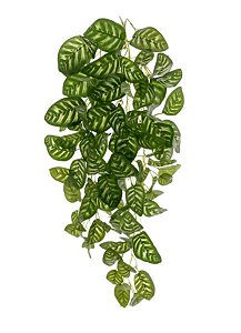 Folhagem Artificial Calathea Verde Creme 78cm