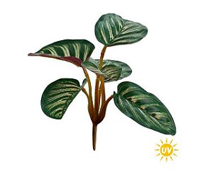 Folhagem Artificial Calathea Verde Creme Roxo Proteção UV 18cm