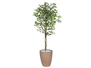 Planta Artificial Ficus Verde Creme 1,5 kit + Vaso E. Bege 30 cm