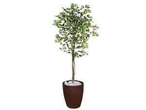 Planta Artificial Ficus Verde Creme 1,5m kit + Vaso S. Marrom 30 cm