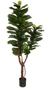 Planta Árvore Artificial Ficus Lyrata Real Toque C/Pote X79 Verde 1,80m