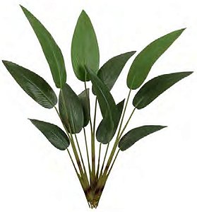 Planta Árvore Artificial Estrelícia X12 Verde 1,15cm