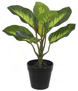 Planta Árvore Artificial Comigo Ninguém Pode Real Toque X8 Verde 30cm