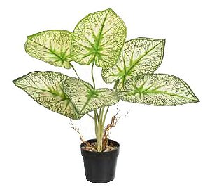 Planta Árvore Artificial Caladium Real Toque C/Raiz X6 Verde Claro 43cm