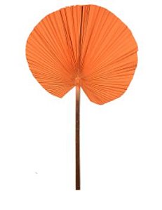 Folhagem Latanea Desidratado Laranja 50cm