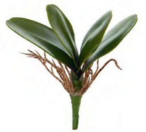 Folhagem Artificial Folha Orquidea C/Arame C/Powder X4 Verde 17cm