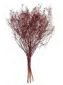 Folhagem Sementinha Desidratado Vermelho Vinho 40cm