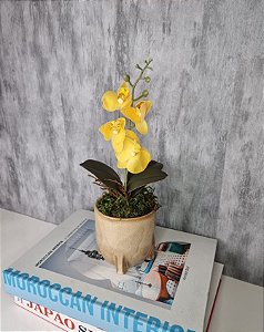Arranjo De Mini Orquídea Amarela Vaso Bege Redondo