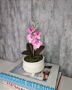 Arranjo De Mini Orquídea Rosa Vaso Bege Claro Redondo