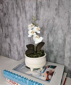 Arranjo De Mini Orquídea Branca Vaso Bege Claro Redondo