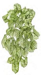 Planta Artificial Pendentes Caladium Verde Creme 48cm