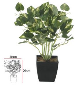Planta Artificial Jiboia C/Pote X50 Verde Branco 22cm