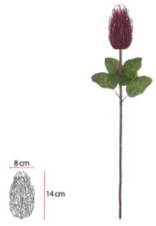 Haste Protea Marsala 69cm