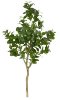 Planta Árvore Artificial Clusia Real Toque X282 Verde 1,2m