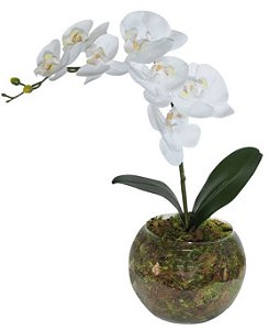Arranjo Orquidea Branca 45x12cm