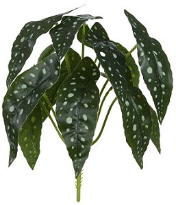 Folhagem Begonia Maculata Real Toque Plastico X12 Verde 28cm