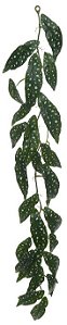 Folhagem Begonia Maculata Guirlanda Real Toque X25 Verde 1,2cm