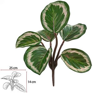 Planta Artificial Folhagem Calathea Forracao C/UV Real Toque X6 Verde Creme 20cm