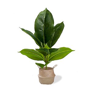 Planta Artificial Ficus 43cm 9 Folhas Diversos Modelos