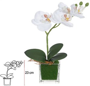 Haste Orquidea Phalaenopsis Real Toque C/Vaso De Vidro Branco Amarelo 23cm