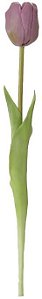 Haster Tulipa Real Toque Purpura 44cm