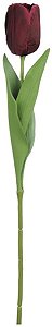 Haster Tulipa Cetim Marsala 63cm