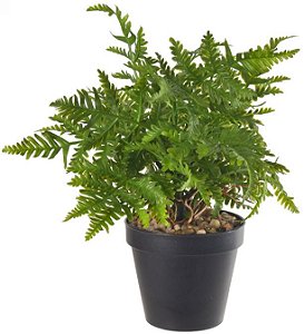 Planta Artificial Folhagem Samambaia C/Pote X22 Verde 22cm