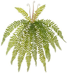 Planta Artificial Folhagem Samambaia C/Print Plastico X14 Verde 69cm