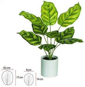 Planta Artificial Folhagem Calathea Real Toque C/Pote X9 Verde 42cm