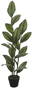 Planta Artificial Arvore Calathea Real Toque C/Pote X19 Verde 1.2m