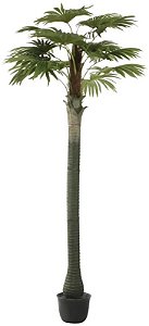 Planta Artificial Arvore Palmeira Leque C/Pote X15 Verde 3.2m