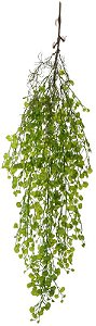 Planta Artificial Folhagem Lunaria Pendentes X82 Verde 1.05m