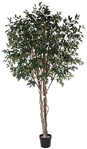 Planta Artificial Arvore Ficus C/Pote X3276 Verde 3m