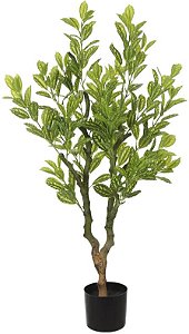 Planta Artificial Arvore Peperomia Real Toque C/Pote X282 Verde Creme 1,1m