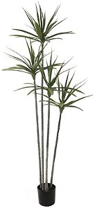 Planta Artificial Arvore Yucca C/Pote X78 Verde 1.6m