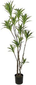 Planta Artificial Arvore Dracena Reflexa C/Pote X130 Verde 2T 1,66m