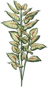 Planta Artificial Arvore Caladium X31 Verde Vermelho 1.5m