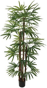 Planta Artificial Arvore Palmeira Raphis Real Toque C/Pote X51 Verde 1.9m