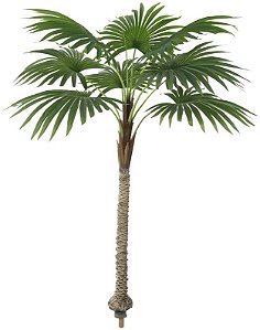 Planta Artificial Arvore Leque Real Toque X9 Verde 1.9m