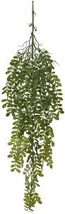 Planta Artificial Folhagem Jasminum Pendente X85 Verde 1,05m
