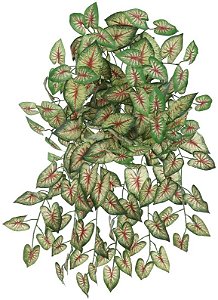 Planta Artificial Folhagem Caladium Pendente X168 Verde Vermelho 64cm