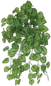 Planta Artificial Folhagem Melancia Pendente X168 Verde Creme 64cm