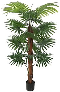 Planta Artificial Arvore Palmeira Leque C/Pote X14 Verde 1.5m