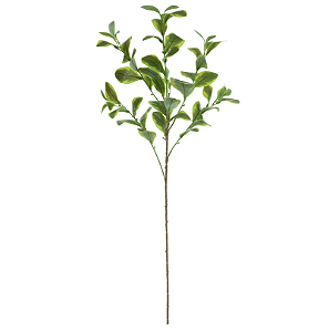Planta Artificial Galho Clusia Real Toque X53 (verde creme) 90cm
