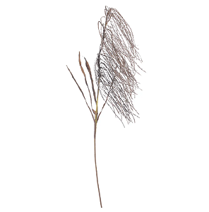 Planta Artificial Galho Cana Brava C/Folha (mauve) 80cm