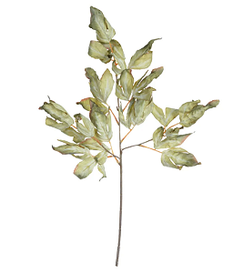 Planta Artificial Galho Folha X12 (verde menta outono) 64cm